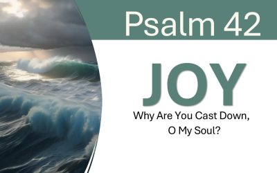 Sermon Video: 12/15/24