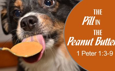 Sermon Video: 03/30/25