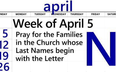 A-Z Letter of the Week is N