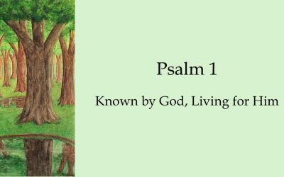 Sermon Video: 04/19/26