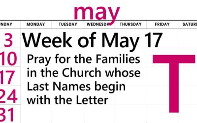 A-Z Letter of the Week is T