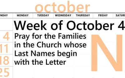 A-Z Letter of the Week is N